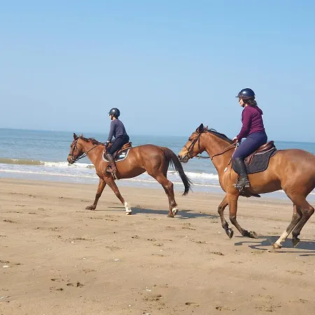 アパート M2m Magnifique Vue - Avec Balcon - Les Pieds Dans L Eau! ブロンヴィル・シュル・メール