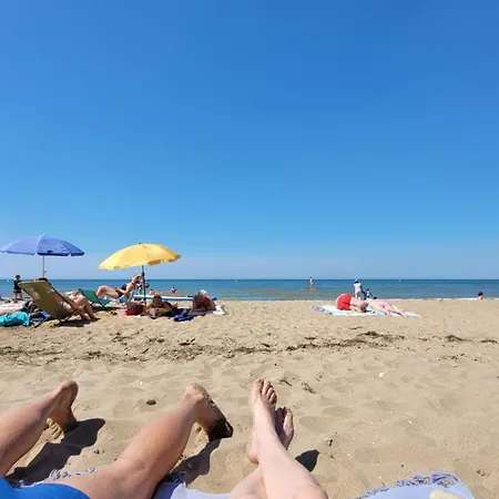 M2m Magnifique Vue - Avec Balcon - Les Pieds Dans L Eau! Блонвиль-сюр-Мер