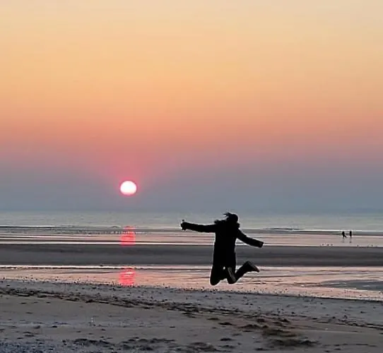 M2m Magnifique Vue - Avec Balcon - Les Pieds Dans L Eau! *