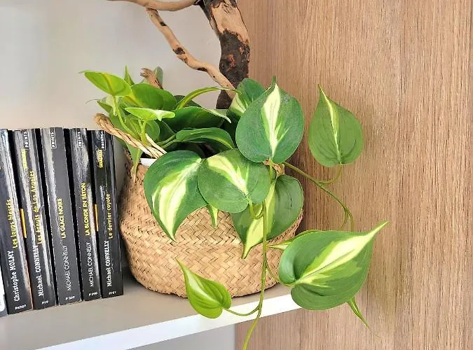 M2m Magnifique Vue - Avec Balcon - Les Pieds Dans L Eau! 布伦维尔索梅