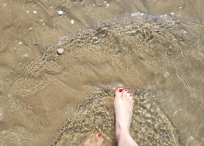 M2m Magnifique Vue - Avec Balcon - Les Pieds Dans L Eau! 公寓 布伦维尔索梅