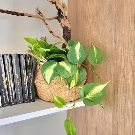 M2m Magnifique Vue - Avec Balcon - Les Pieds Dans L Eau! Blonville-sur-Mer