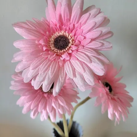 M2m Magnifique Vue - Avec Balcon - Les Pieds Dans L Eau! Appartement