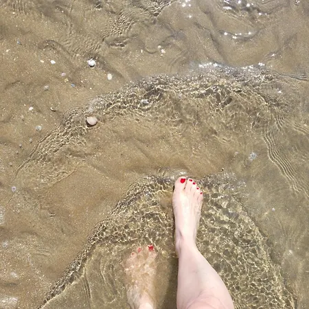 M2m Magnifique Vue - Avec Balcon - Les Pieds Dans L Eau! Appartement Blonville-sur-Mer