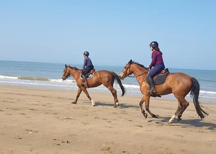 Appartement M2m Magnifique Vue - Avec Balcon - Les Pieds Dans L Eau! Blonville-sur-Mer