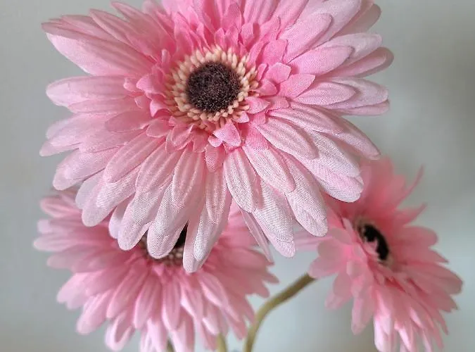 M2m Magnifique Vue - Avec Balcon - Les Pieds Dans L Eau! Appartement